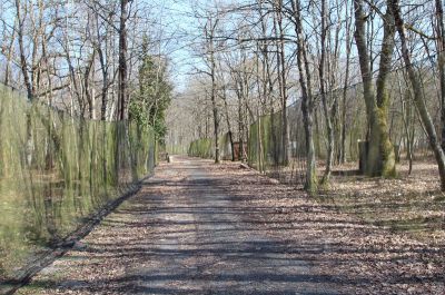 Activité sportive à Orléans entre Loiret et Loir-et-Cher